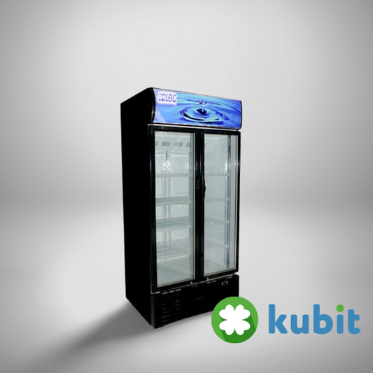 Visicooler 2 Puertas 600 Lts Bzz