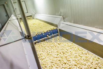 Túneles de Congelamiento de Lecho Fluidizado (Flow Freezer)